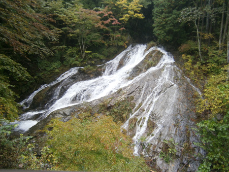 岩をはうような滝の流れと、岩を囲む木々の風景