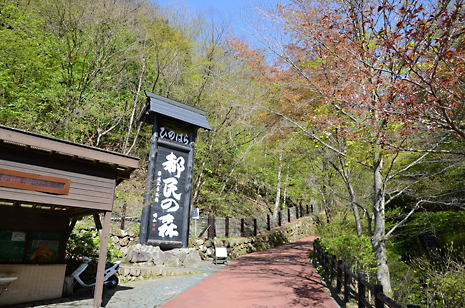 都民の森、と書かれた木製看板が目立つ、檜原都民の森の入り口付近の風景