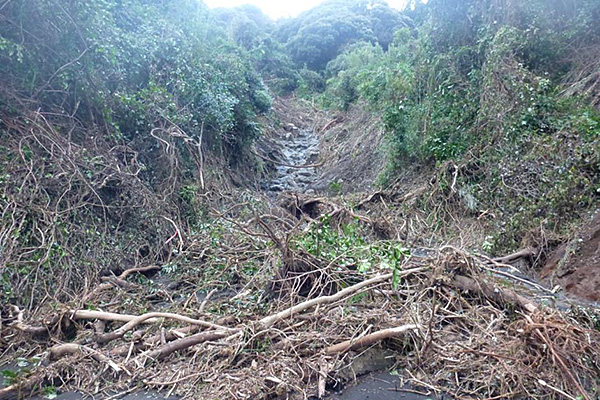 泉津沢【２】被災直後の写真