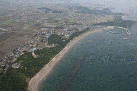 海岸防災林造成（遠景）の写真