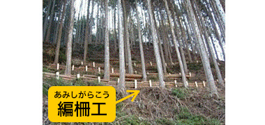 編柵工の写真