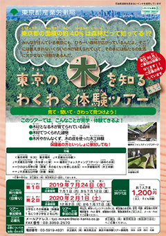 東京の木を知るわくわく体験ツアー チラシ