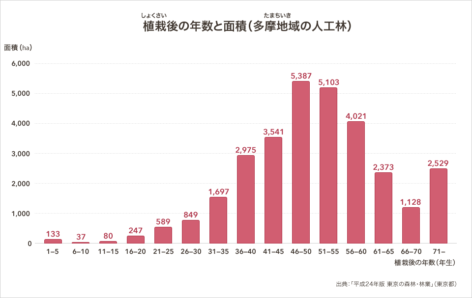 多摩地域の人工林で、植栽して何年後の森林が多いかを示すグラフ。植栽後5年目までの若い森林は133ヘクタールですが、6年目から10年目の森林は、37ヘクタールと最も少なく、高齢の森林になるにつれ面積が増えて、植栽後46年から50年の森林が最多の5387ヘクタールとなります。それより高齢の森林は、時間がたつものほど少なくなってゆきます。