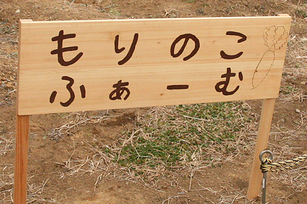 木育活動の内容の写真2