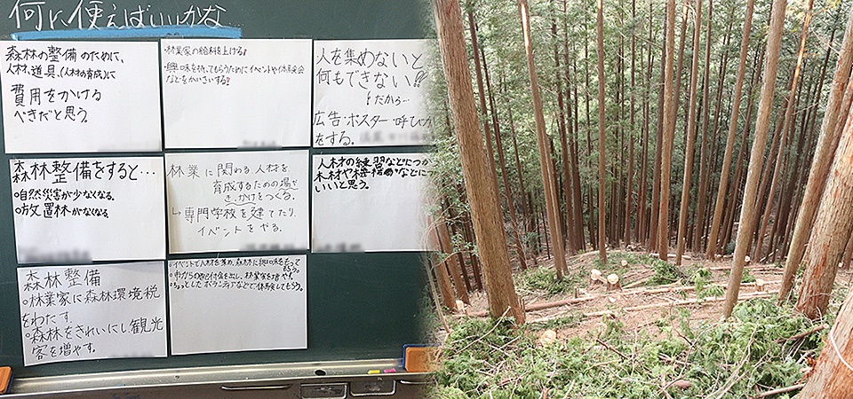 府中市立府中第四小学校の写真